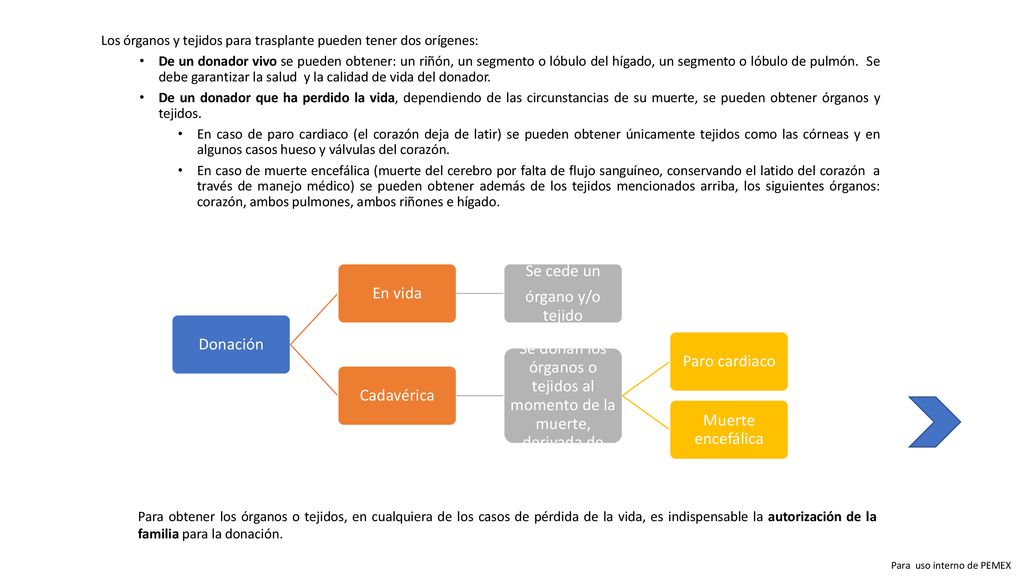 Se donan los órganos o tejidos al momento de la muerte, derivada de