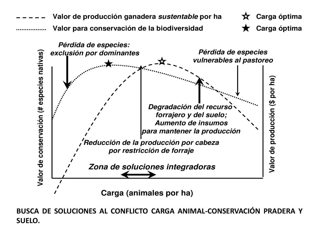 BUSCA DE SOLUCIONES AL CONFLICTO CARGA ANIMAL-CONSERVACIÓN PRADERA Y SUELO.