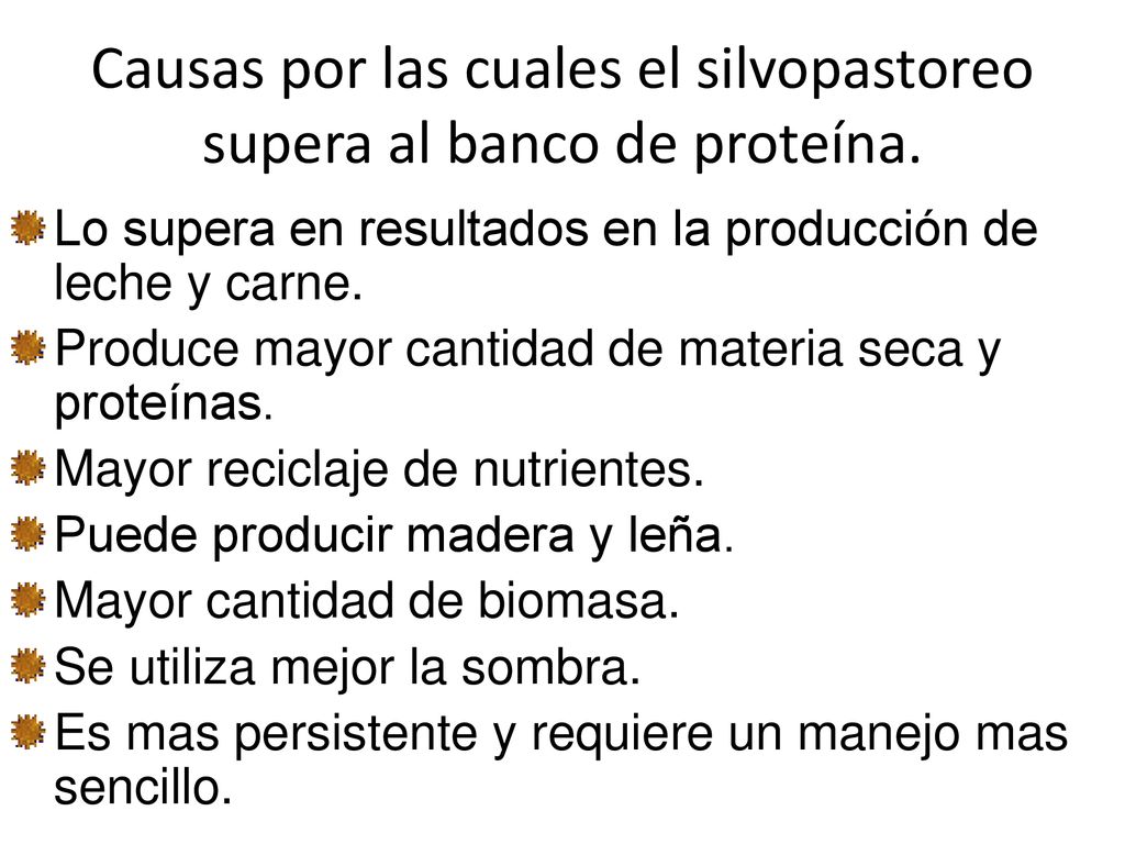 Causas por las cuales el silvopastoreo supera al banco de proteína.