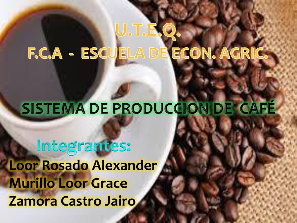 F.C.A - ESCUELA DE ECON. AGRIC. SISTEMA DE PRODUCCION DE CAFÉ