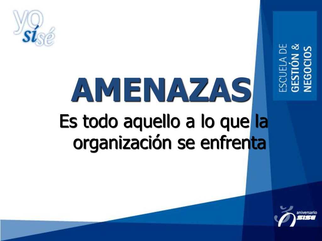 Es todo aquello a lo que la organización se enfrenta