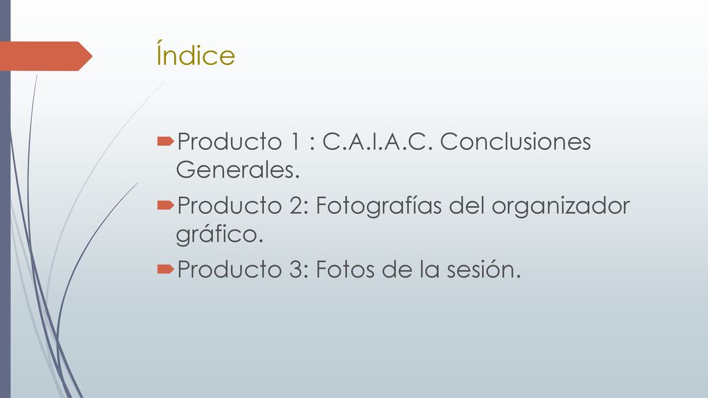 Índice Producto 1 : C.A.I.A.C. Conclusiones Generales.