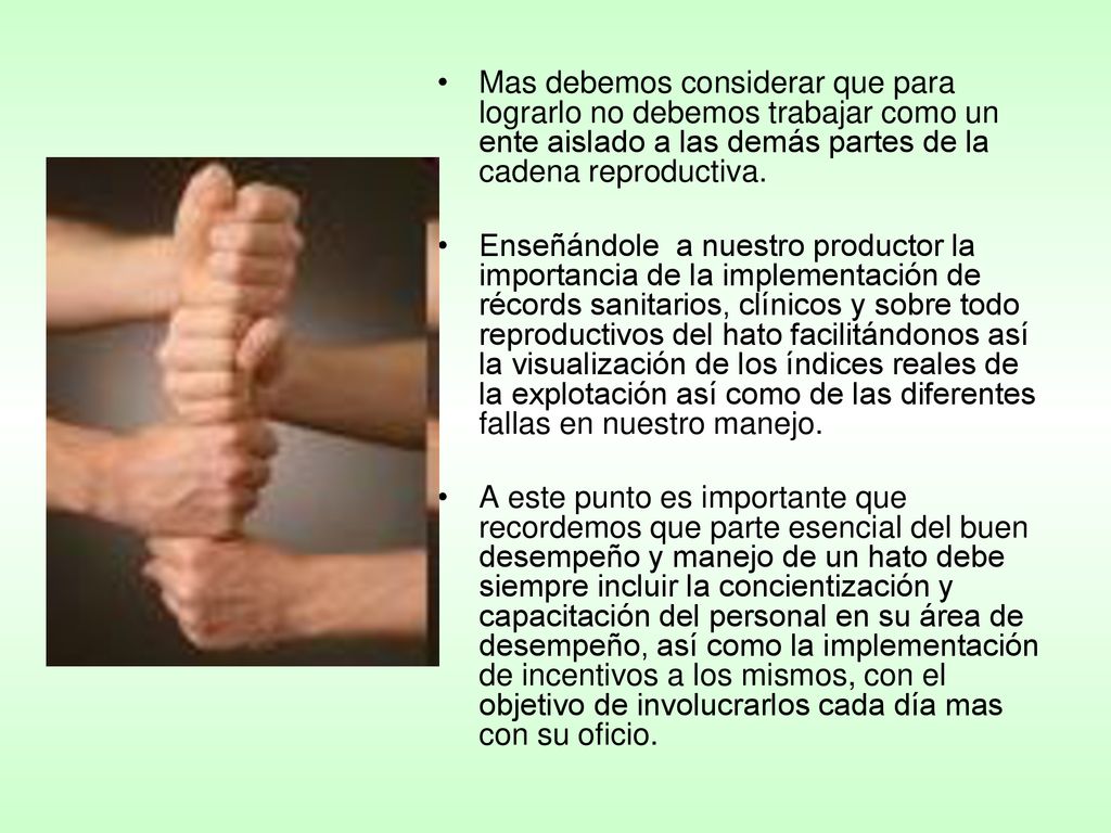 Mas debemos considerar que para lograrlo no debemos trabajar como un ente aislado a las demás partes de la cadena reproductiva.