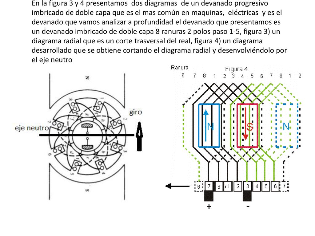 En la figura 3 y 4 presentamos dos diagramas de un devanado progresivo imbricado de doble capa que es el mas común en maquinas, eléctricas y es el devanado que vamos analizar a profundidad el devanado que presentamos es un devanado imbricado de doble capa 8 ranuras 2 polos paso 1-5, figura 3) un diagrama radial que es un corte trasversal del real, figura 4) un diagrama desarrollado que se obtiene cortando el diagrama radial y desenvolviéndolo por el eje neutro