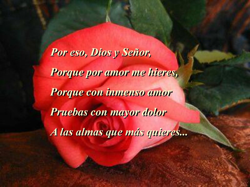 Por eso, Dios y Señor, Porque por amor me hieres, Porque con inmenso amor. Pruebas con mayor dolor.