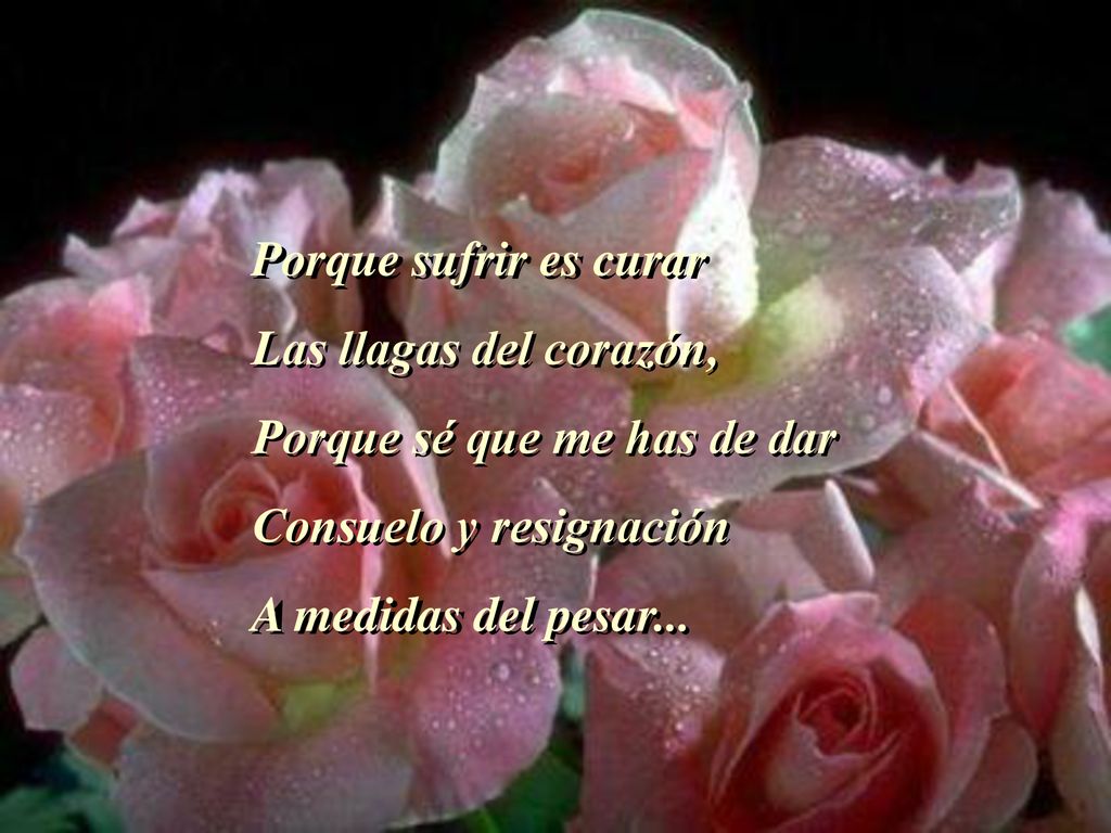 Porque sufrir es curar Las llagas del corazón, Porque sé que me has de dar. Consuelo y resignación.