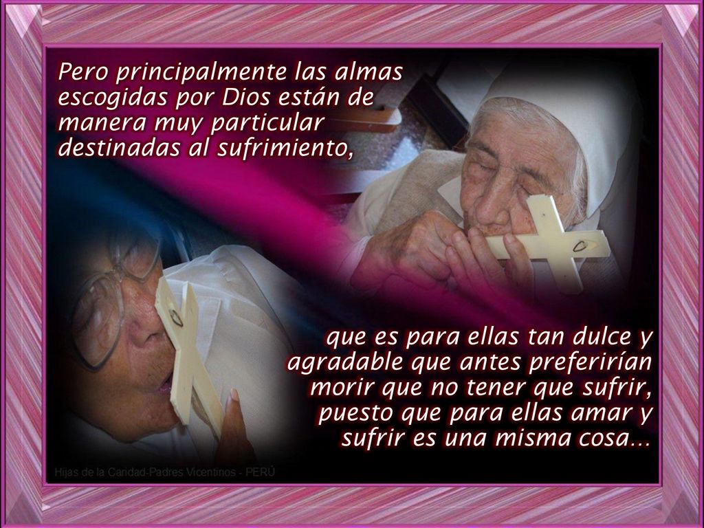 Pero principalmente las almas escogidas por Dios están de manera muy particular destinadas al sufrimiento,