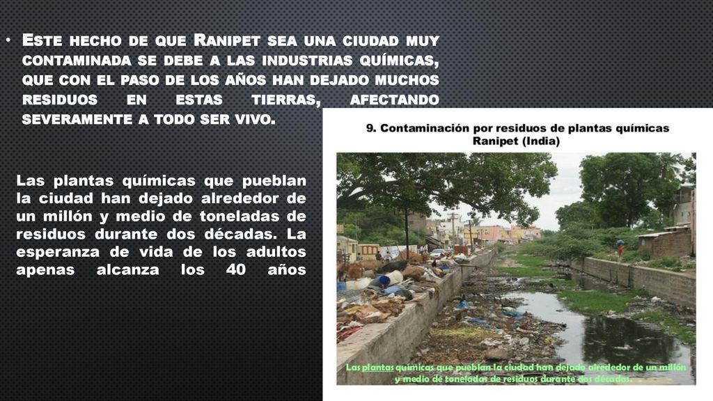 Este hecho de que Ranipet sea una ciudad muy contaminada se debe a las industrias químicas, que con el paso de los años han dejado muchos residuos en estas tierras, afectando severamente a todo ser vivo.