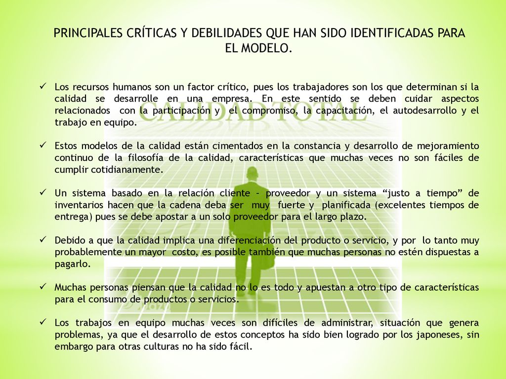 PRINCIPALES CRÍTICAS Y DEBILIDADES QUE HAN SIDO IDENTIFICADAS PARA EL MODELO.