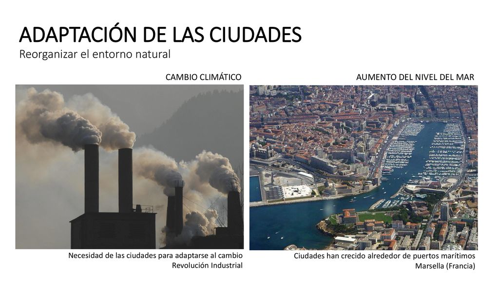 ADAPTACIÓN DE LAS CIUDADES Reorganizar el entorno natural