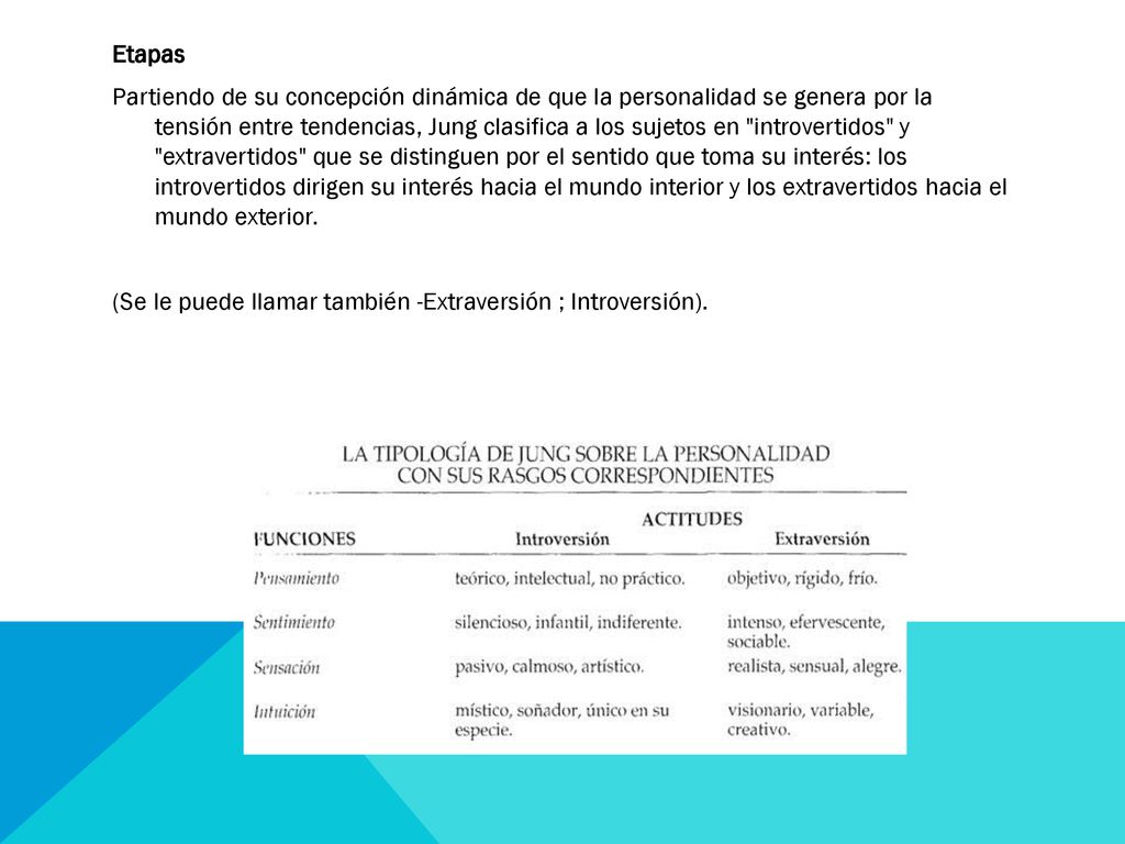 Etapas Partiendo de su concepción dinámica de que la personalidad se genera por la tensión entre tendencias, Jung clasifica a los sujetos en introvertidos y extravertidos que se distinguen por el sentido que toma su interés: los introvertidos dirigen su interés hacia el mundo interior y los extravertidos hacia el mundo exterior.