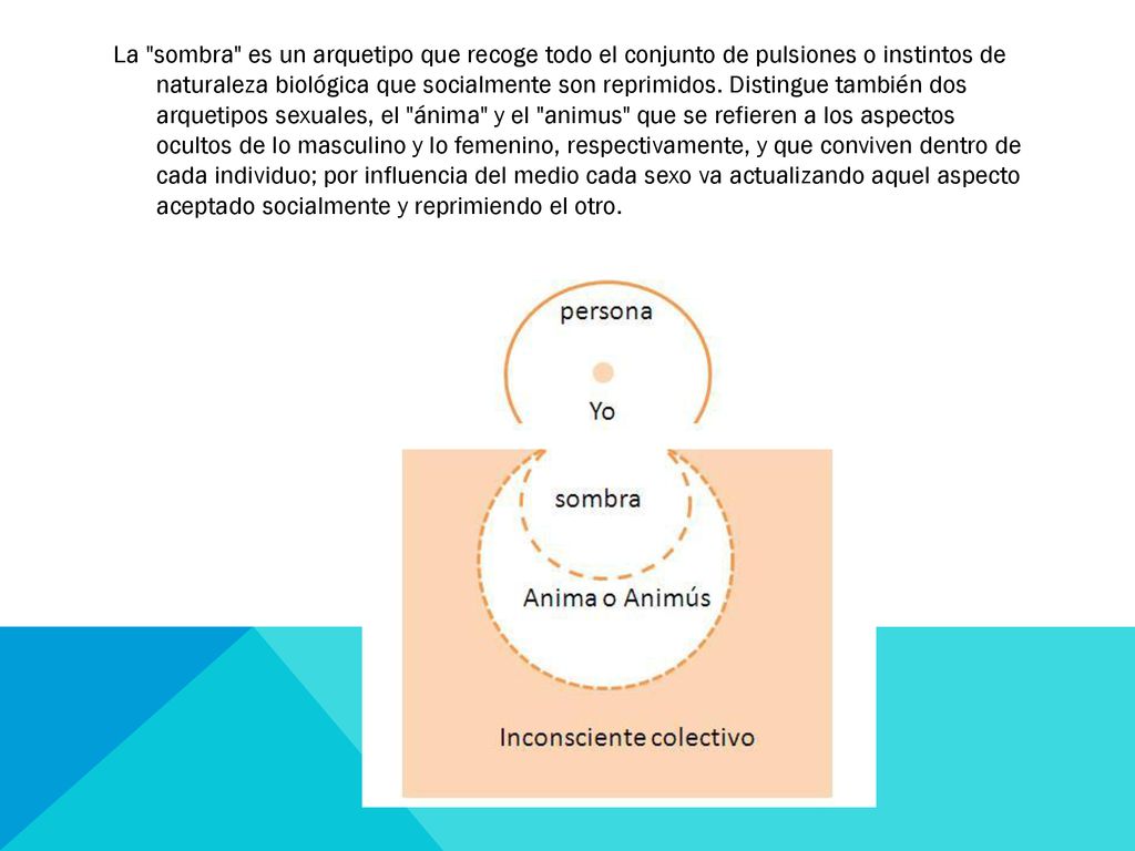 La sombra es un arquetipo que recoge todo el conjunto de pulsiones o instintos de naturaleza biológica que socialmente son reprimidos.