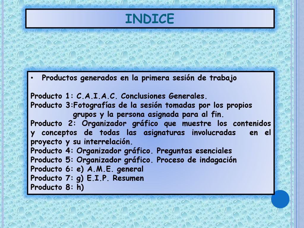 INDICE Productos generados en la primera sesión de trabajo