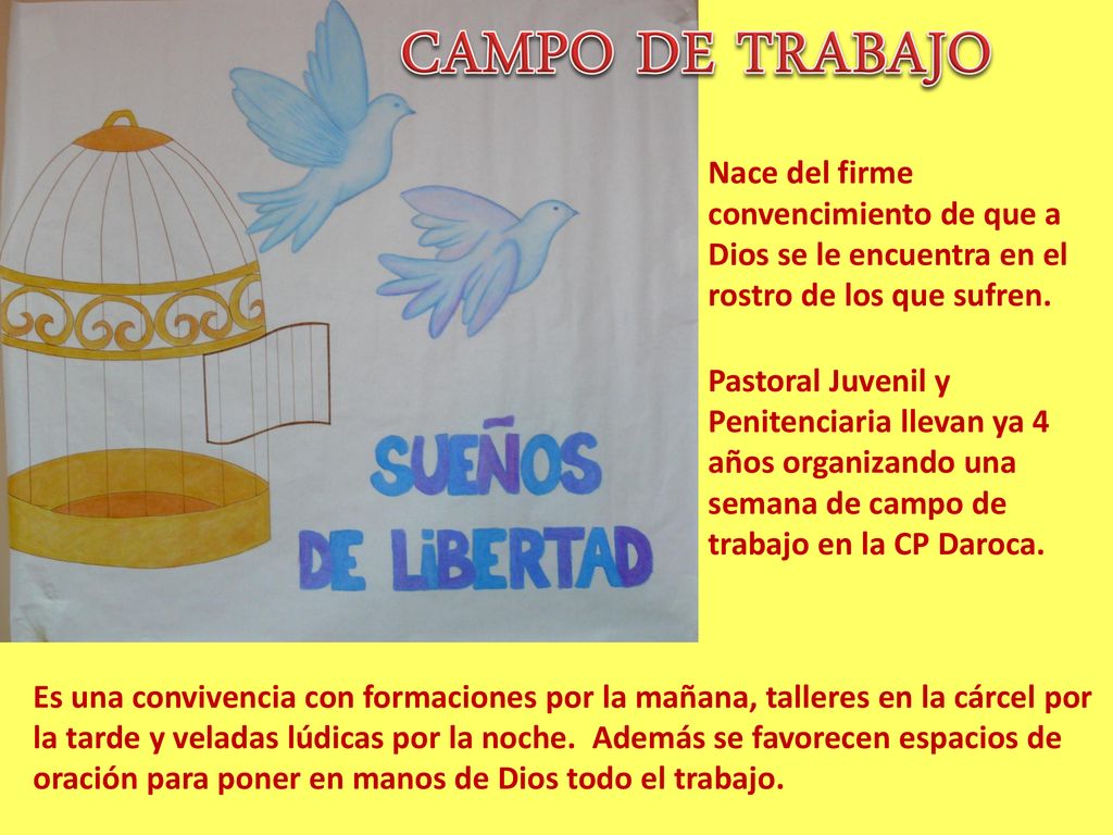 CAMPO DE TRABAJO Nace del firme convencimiento de que a Dios se le encuentra en el rostro de los que sufren.