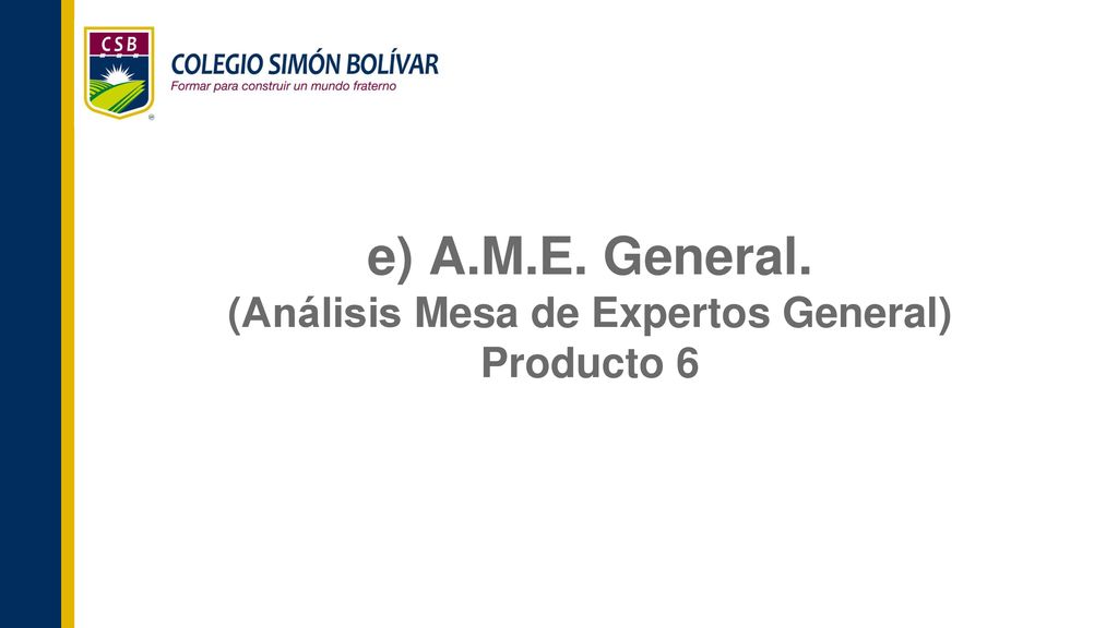 e) A.M.E. General. (Análisis Mesa de Expertos General) Producto 6