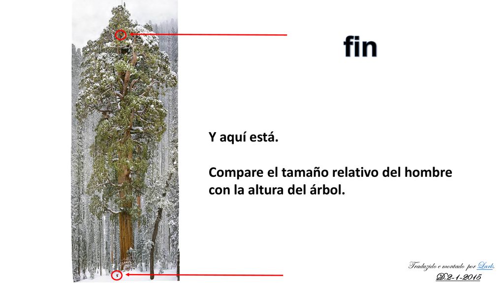 fin Y aquí está. Compare el tamaño relativo del hombre