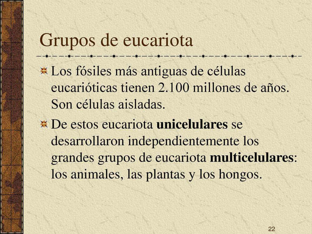 Grupos de eucariota Los fósiles más antiguas de células eucarióticas tienen millones de años. Son células aisladas.