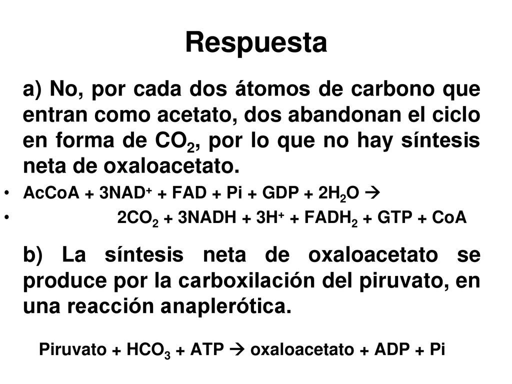 Piruvato + HCO3 + ATP  oxaloacetato + ADP + Pi