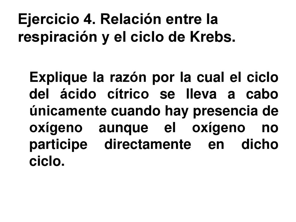 Ejercicio 4. Relación entre la respiración y el ciclo de Krebs.