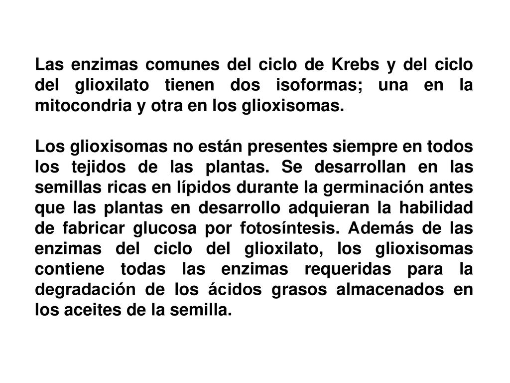 Las enzimas comunes del ciclo de Krebs y del ciclo del glioxilato tienen dos isoformas; una en la mitocondria y otra en los glioxisomas.