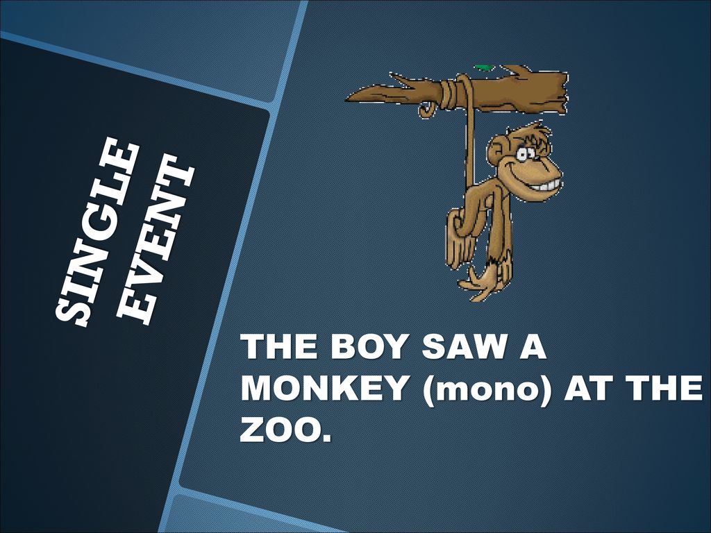 SINGLE EVENT THE BOY SAW A MONKEY (mono) AT THE ZOO.