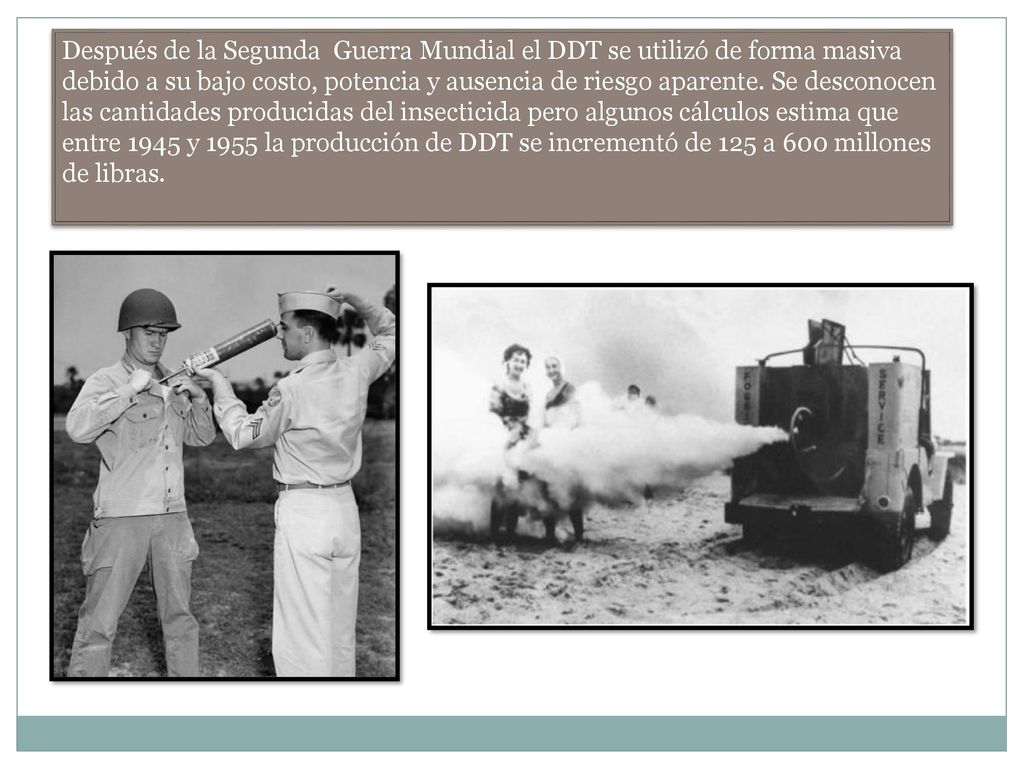 Después de la Segunda Guerra Mundial el DDT se utilizó de forma masiva debido a su bajo costo, potencia y ausencia de riesgo aparente.