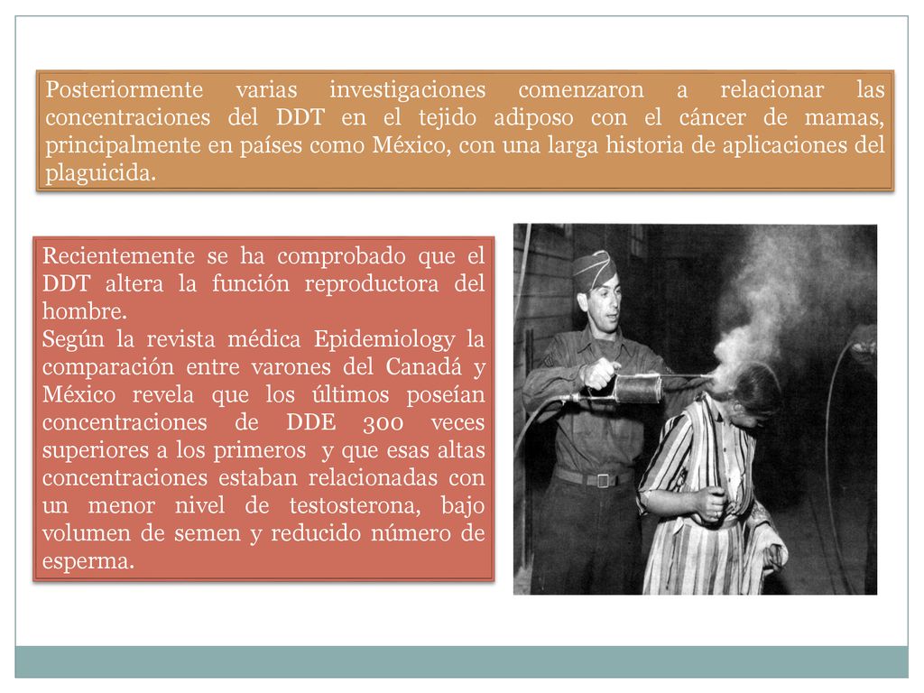 Posteriormente varias investigaciones comenzaron a relacionar las concentraciones del DDT en el tejido adiposo con el cáncer de mamas, principalmente en países como México, con una larga historia de aplicaciones del plaguicida.