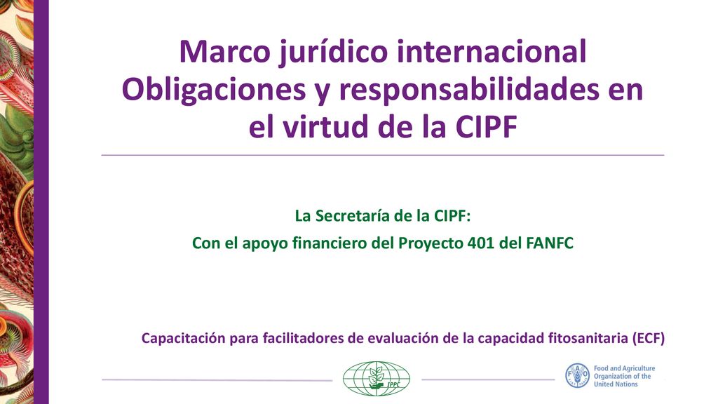 Marco jurídico internacional Obligaciones y responsabilidades en el virtud de la CIPF