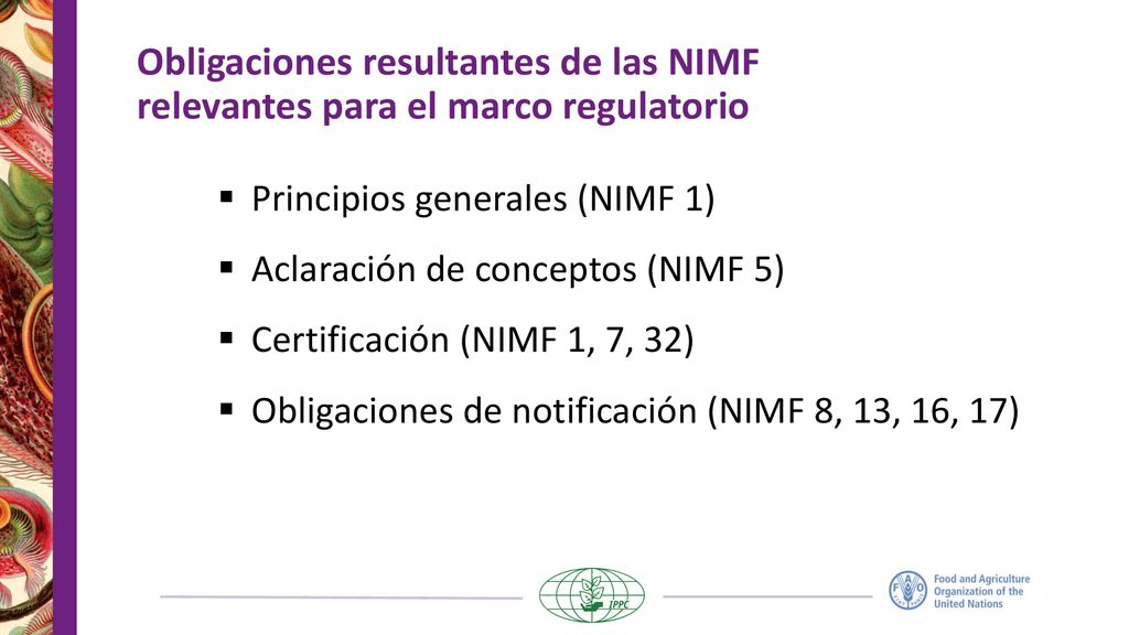 Obligaciones resultantes de las NIMF relevantes para el marco regulatorio
