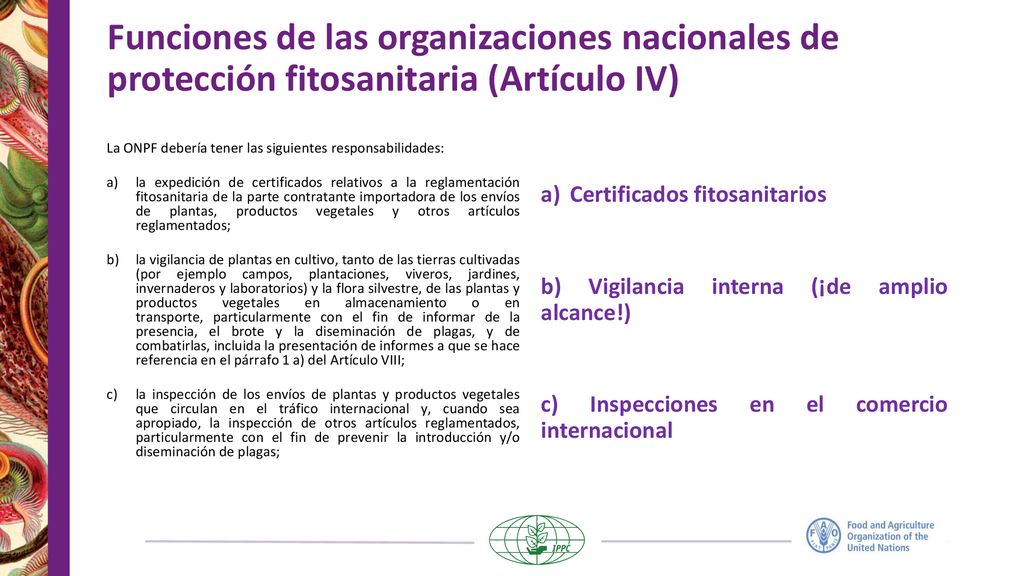 Funciones de las organizaciones nacionales de protección fitosanitaria (Artículo IV)