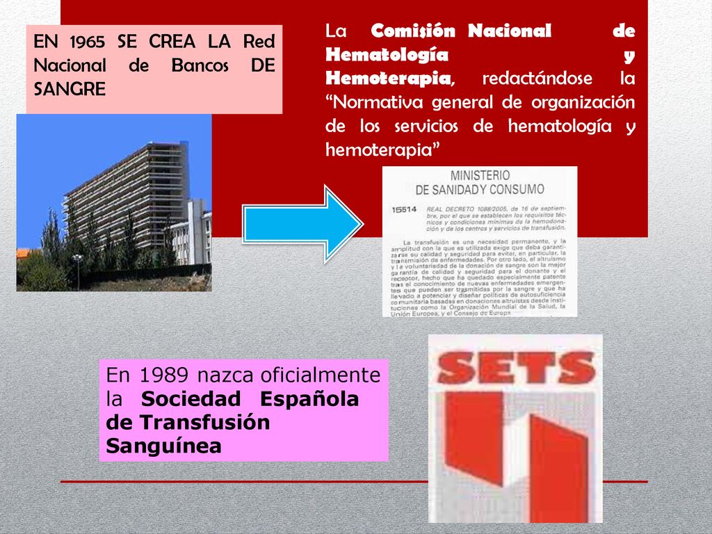 EN 1965 SE CREA LA Red Nacional de Bancos DE SANGRE