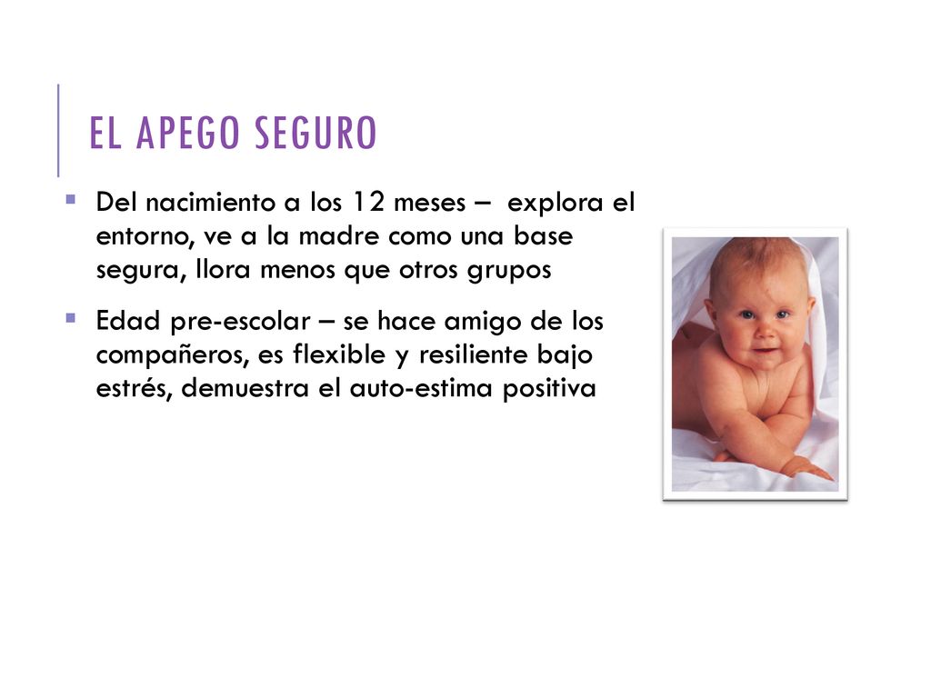 EL APEGO SEGURO Del nacimiento a los 12 meses – explora el entorno, ve a la madre como una base segura, llora menos que otros grupos.
