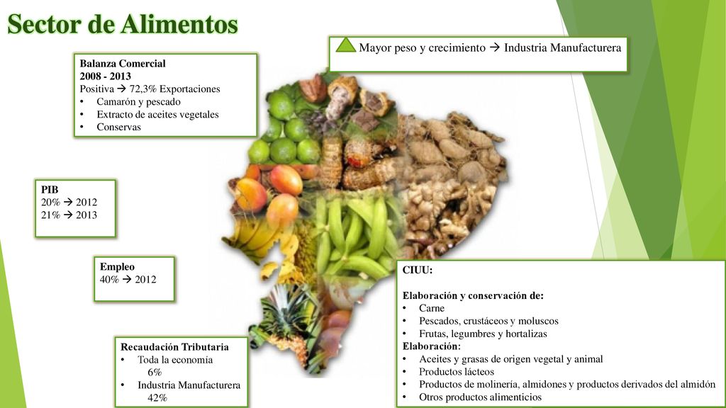 Sector de Alimentos Mayor peso y crecimiento  Industria Manufacturera