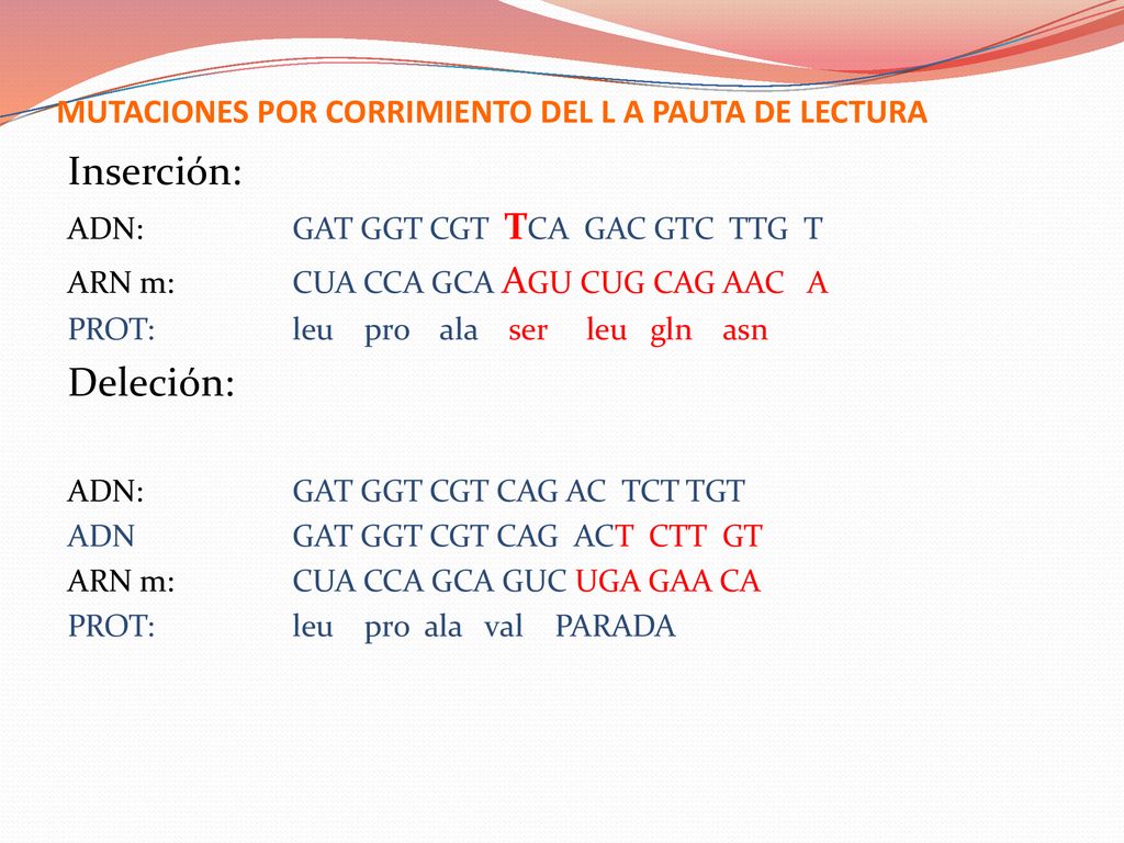 MUTACIONES POR CORRIMIENTO DEL L A PAUTA DE LECTURA