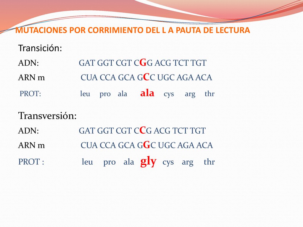 MUTACIONES POR CORRIMIENTO DEL L A PAUTA DE LECTURA