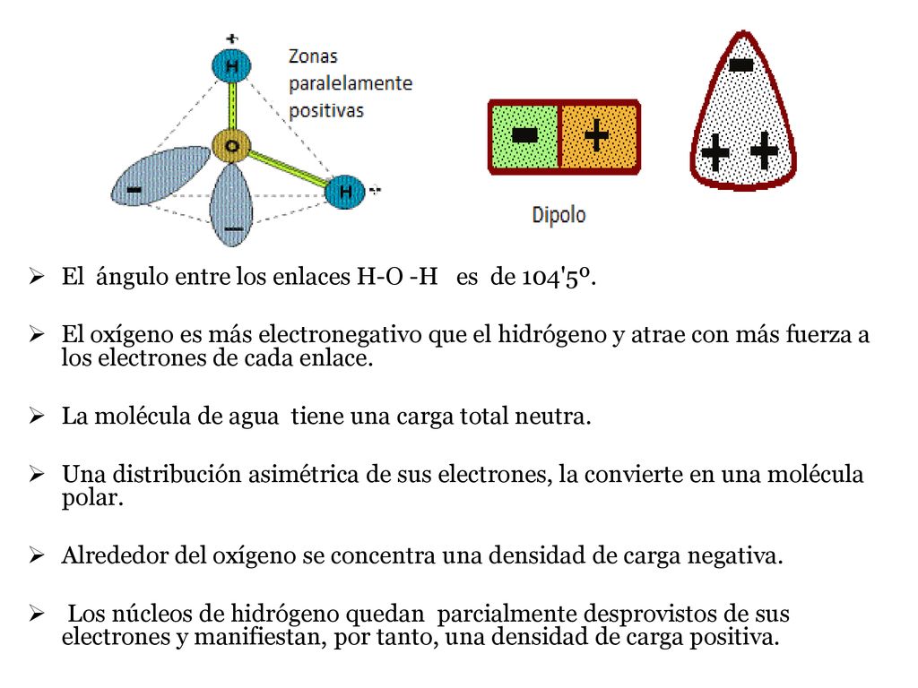 El ángulo entre los enlaces H-O -H es de 104 5º.