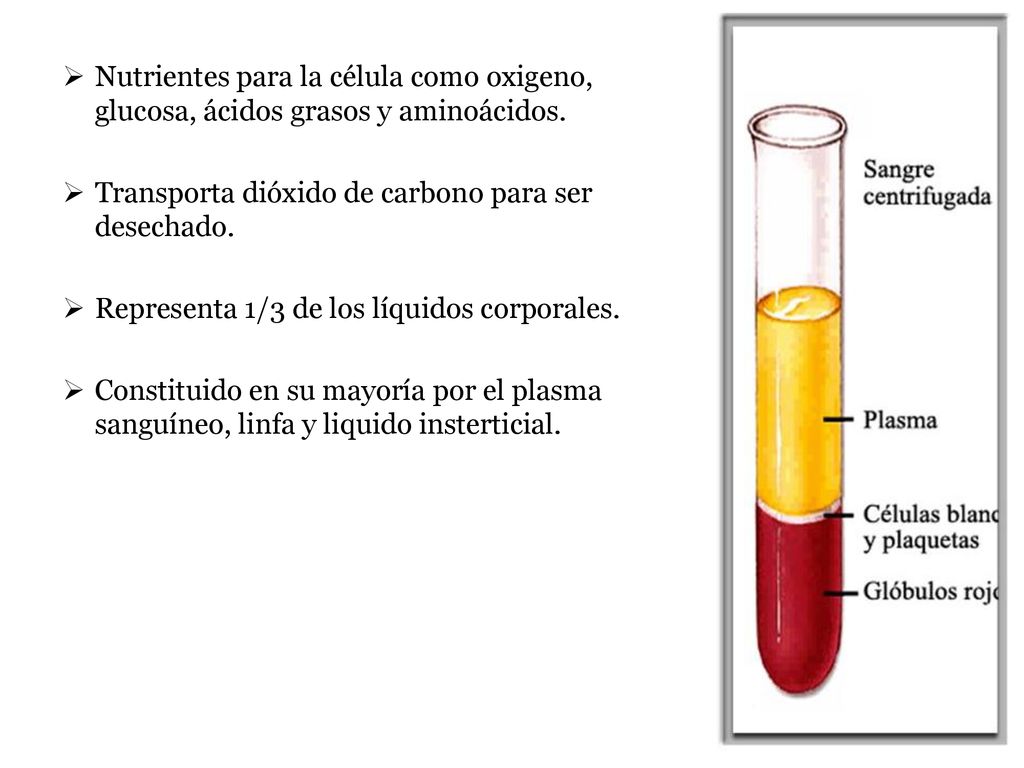 Nutrientes para la célula como oxigeno, glucosa, ácidos grasos y aminoácidos.