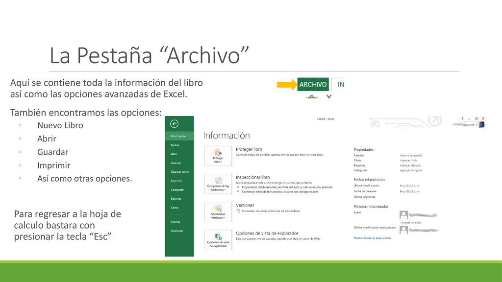 La Pestaña Archivo Aquí se contiene toda la información del libro así como las opciones avanzadas de Excel.