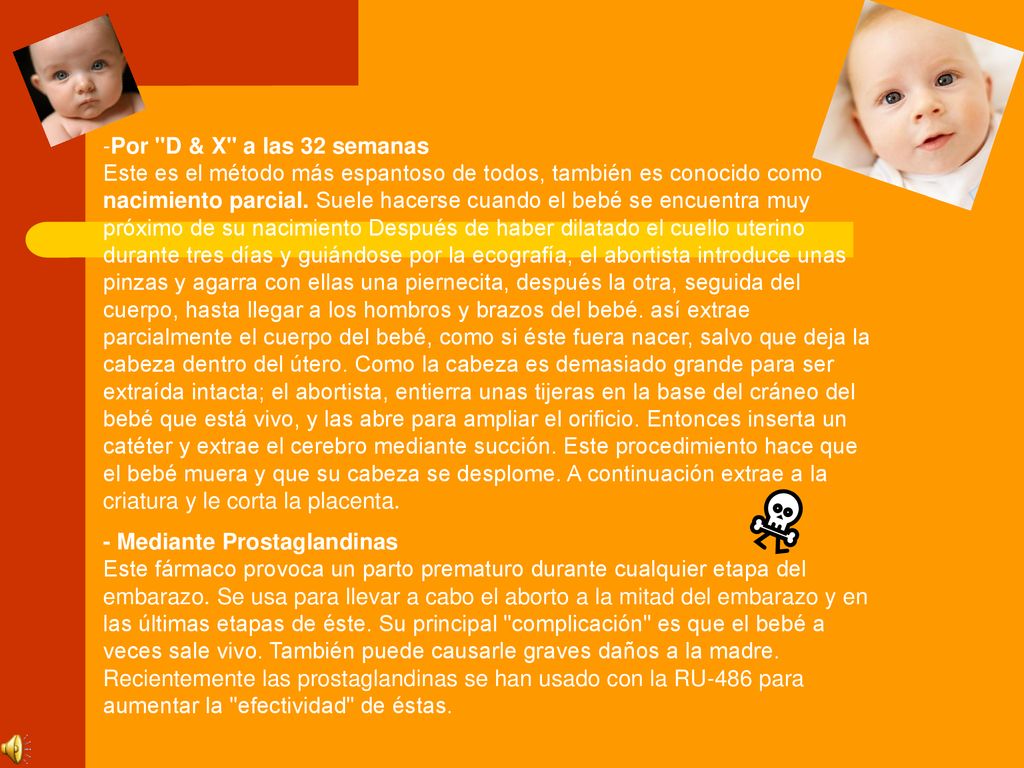 Por D & X a las 32 semanas Este es el método más espantoso de todos, también es conocido como nacimiento parcial. Suele hacerse cuando el bebé se encuentra muy próximo de su nacimiento Después de haber dilatado el cuello uterino durante tres días y guiándose por la ecografía, el abortista introduce unas pinzas y agarra con ellas una piernecita, después la otra, seguida del cuerpo, hasta llegar a los hombros y brazos del bebé. así extrae parcialmente el cuerpo del bebé, como si éste fuera nacer, salvo que deja la cabeza dentro del útero. Como la cabeza es demasiado grande para ser extraída intacta; el abortista, entierra unas tijeras en la base del cráneo del bebé que está vivo, y las abre para ampliar el orificio. Entonces inserta un catéter y extrae el cerebro mediante succión. Este procedimiento hace que el bebé muera y que su cabeza se desplome. A continuación extrae a la criatura y le corta la placenta.