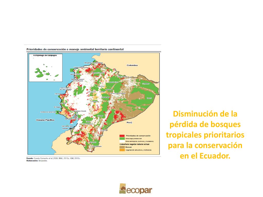 Disminución de la pérdida de bosques tropicales prioritarios para la conservación en el Ecuador.