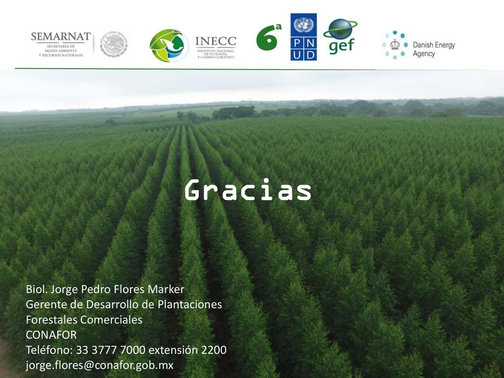 Gracias Biol. Jorge Pedro Flores Marker