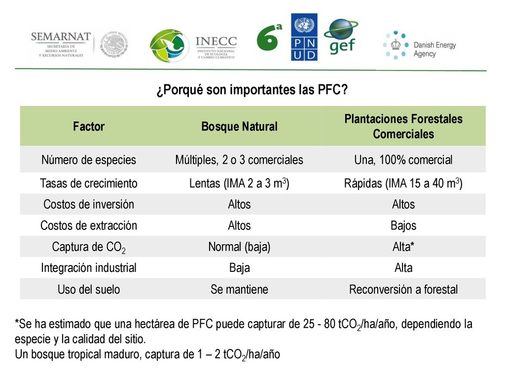 ¿Porqué son importantes las PFC Plantaciones Forestales Comerciales