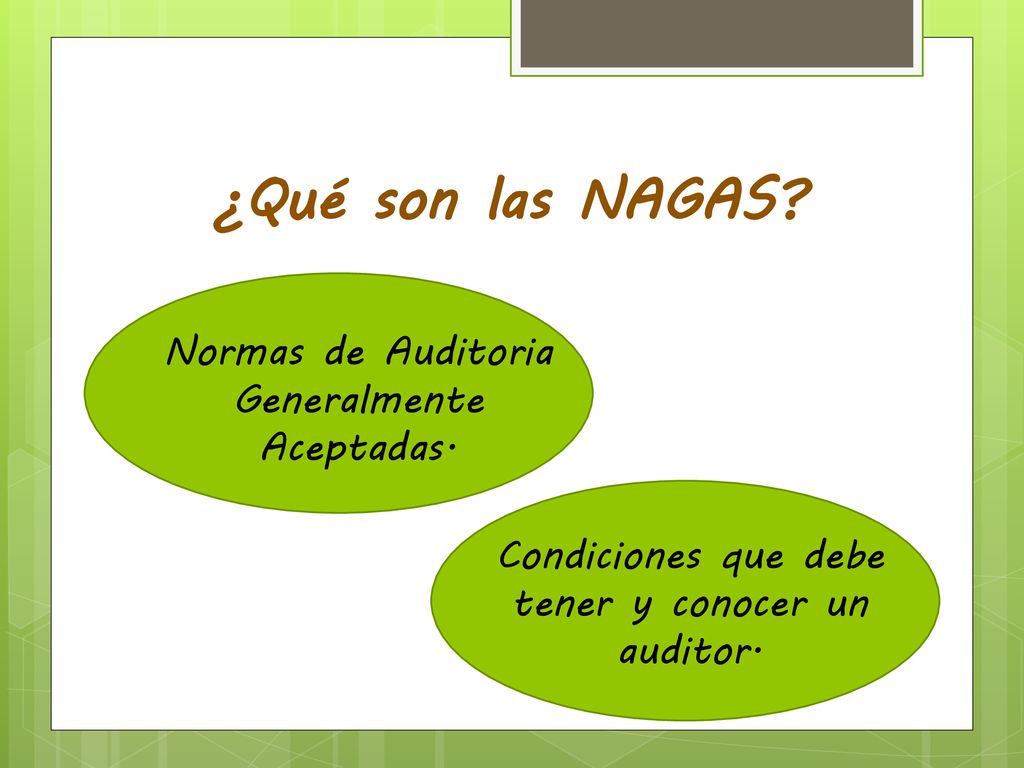 ¿Qué son las NAGAS Normas de Auditoria Generalmente Aceptadas.