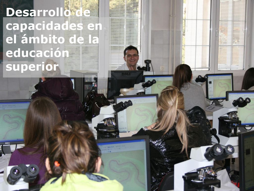 Desarrollo de capacidades en el ámbito de la educación superior