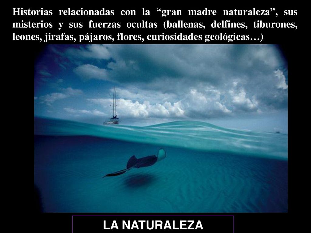 Historias relacionadas con la gran madre naturaleza , sus misterios y sus fuerzas ocultas (ballenas, delfines, tiburones, leones, jirafas, pájaros, flores, curiosidades geológicas…)