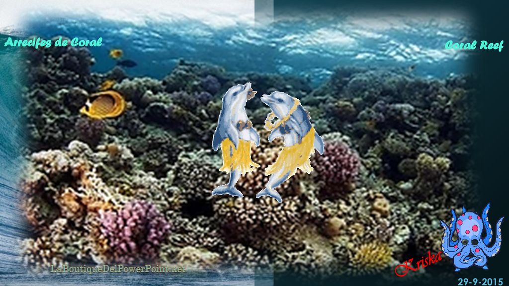 Kriska Arrecifes de Coral Coral Reef LaBoutiqueDelPowerPoint.net