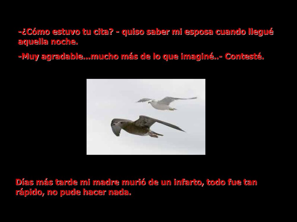 -¿Cómo estuvo tu cita - quiso saber mi esposa cuando llegué aquella noche.