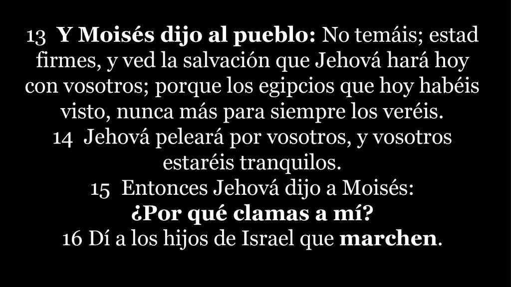 14 Jehová peleará por vosotros, y vosotros estaréis tranquilos.