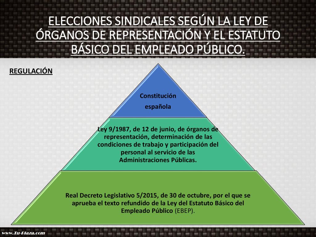 ELECCIONES SINDICALES SEGÚN LA LEY DE ÓRGANOS DE REPRESENTACIÓN Y EL ESTATUTO BÁSICO DEL EMPLEADO PÚBLICO.