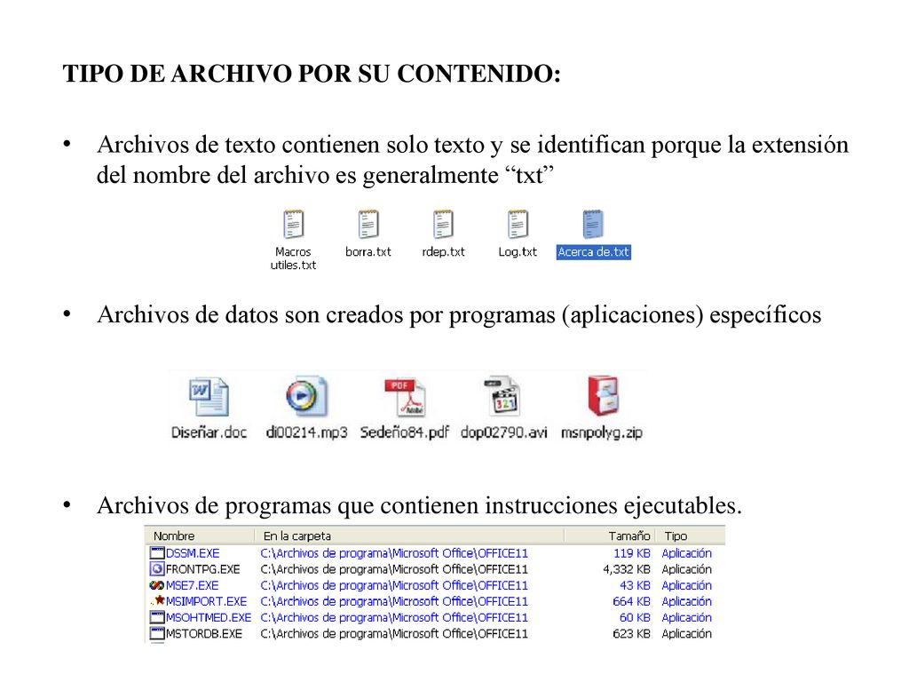 TIPO DE ARCHIVO POR SU CONTENIDO: